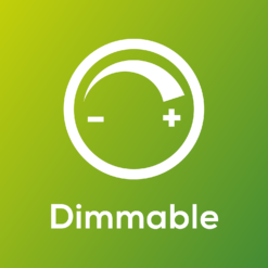 TCP Filament Globe Clear 40W BC Warm Dimmable Light Bulb 11 TCP Filament Globe Clear 40W BC Warm Dimmable Light Bulb -Luxe Light Shop 12824593 1154916680461951