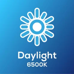 TCP Filament Globe Coat 40W BC Cool Dimmable Light Bulb 11 TCP Filament Globe Coat 40W BC Cool Dimmable Light Bulb -Luxe Light Shop 12824596 1755022111737163