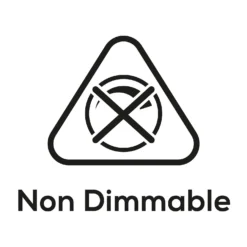 TCP Filament Globe Clear 40W SES Warm Light Bulb -3 Pack -Luxe Light Shop 12824607 1545022111868839