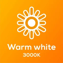 TCP LED Globe 40W SBC Warm Nd Light Bulb - 2 Pack -Luxe Light Shop 12826527 1705022112453560