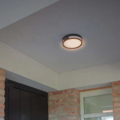 Lutec Rola LED Outdoor Bulkhead Light - Anthracite -Luxe Light Shop 12840746 2044952683020768