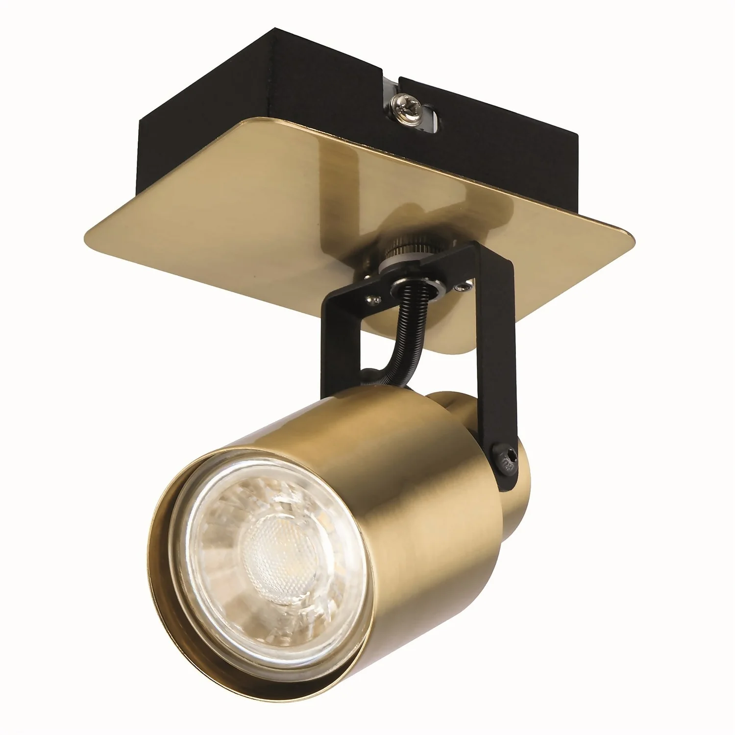 Lucy Single Lamp Spotlight - Gold & Black 3 Lucy Single Lamp Spotlight - Gold & Black