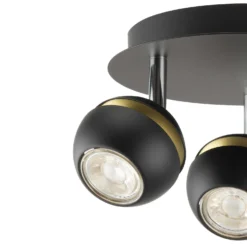 Austin 3 Lamp Spotlight Plate - Black & Gold -Luxe Light Shop 12882230 2044843520211471
