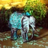 Solar Silhouette Elephant - 34x23.5x38cm -Luxe Light Shop 12912163 1185042102261796