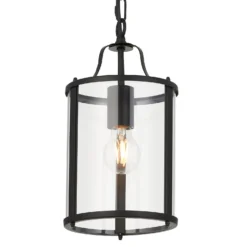 Chester Single Pendant Light - Black -Luxe Light Shop 13865027 2034977253412268