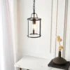 Chester Single Pendant Light - Black -Luxe Light Shop 13865027 3574977253283613