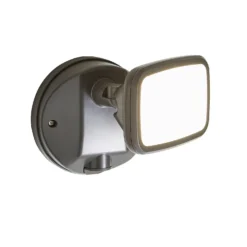 Lynn 1 Light Outdoor Wall Light (IP65) - Dark Grey -Luxe Light Shop 13924377 7054980108048096