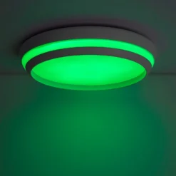 Lutec Cepa RGB LED Indoor Ceiling Light With Lutec Connect Technology - White - IP20 -Luxe Light Shop 13950223 3864993071817926